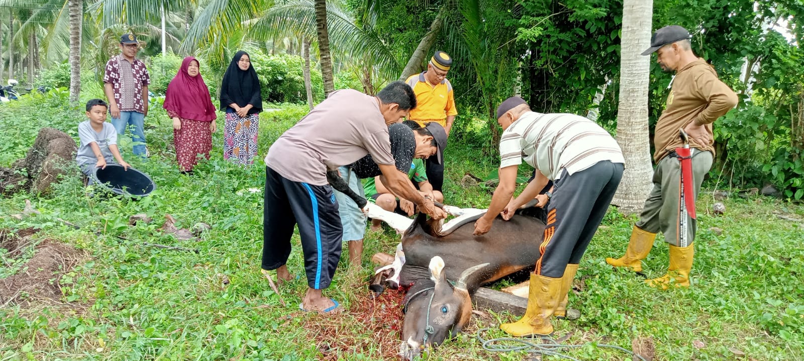 QURBAN