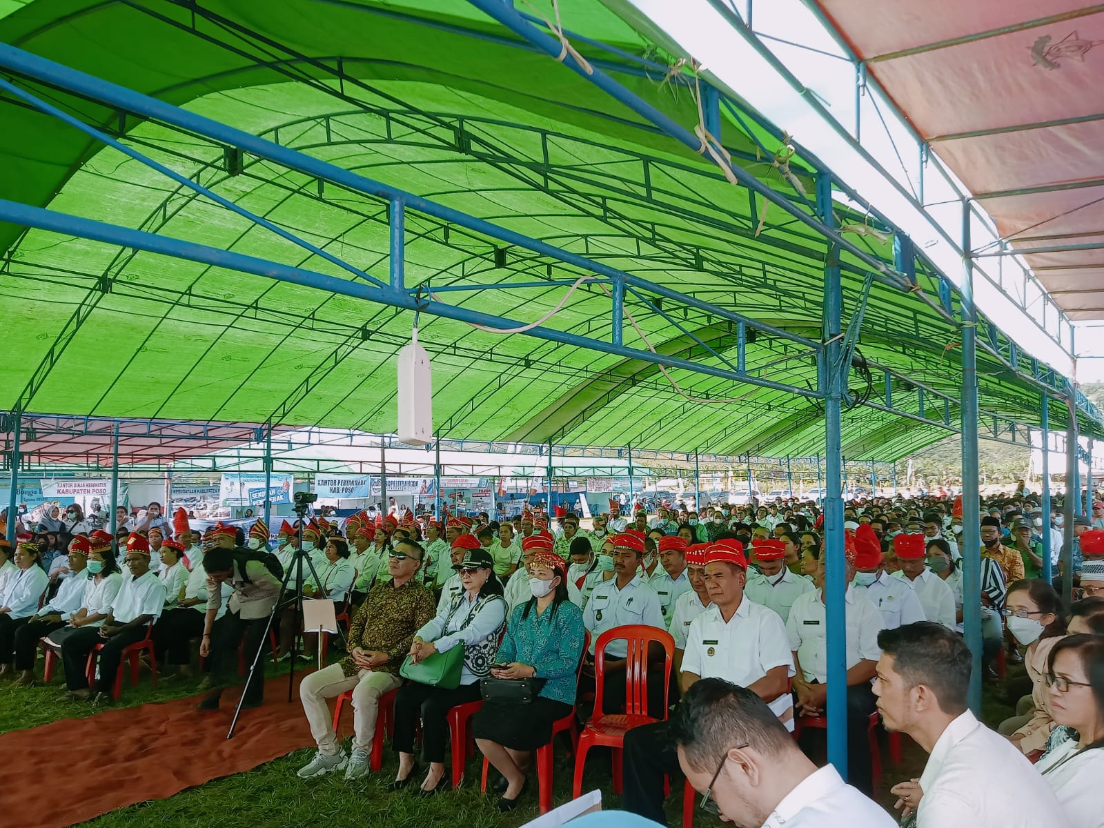 bunga desa